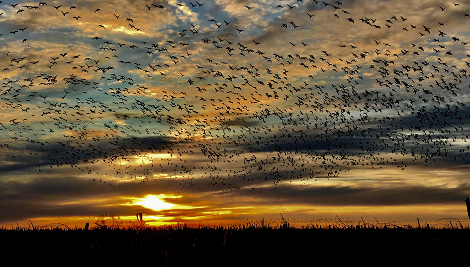 Saskatchewan Hunting Lodge Sunset