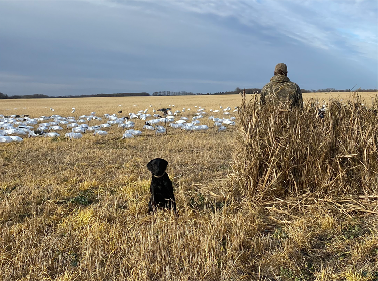 Plan Your Trip Hunting Lodge Saskatchewan